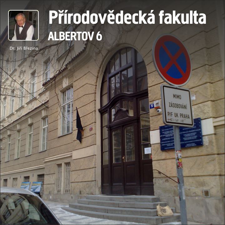 Albertov 6